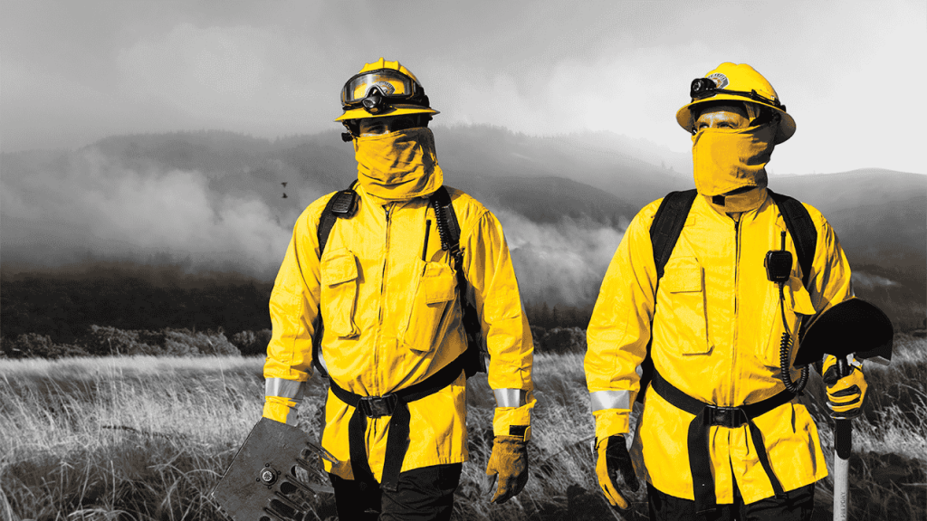 workrite wildlands collection